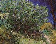 Vincent Van Gogh Bushes oil painting on canvas